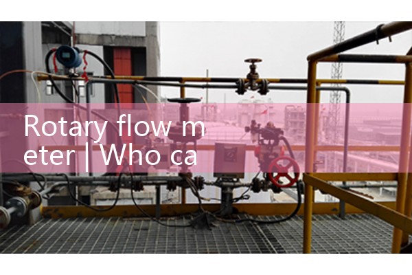 rotary flow meter